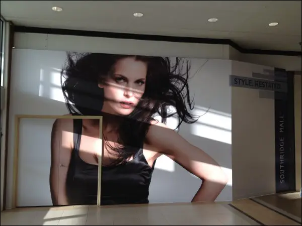 Custom Vinyl Graphics26