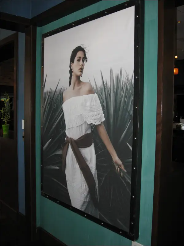 Posters & Foamcore12